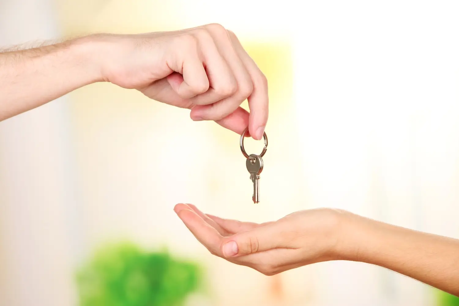 Reverse Mortgage